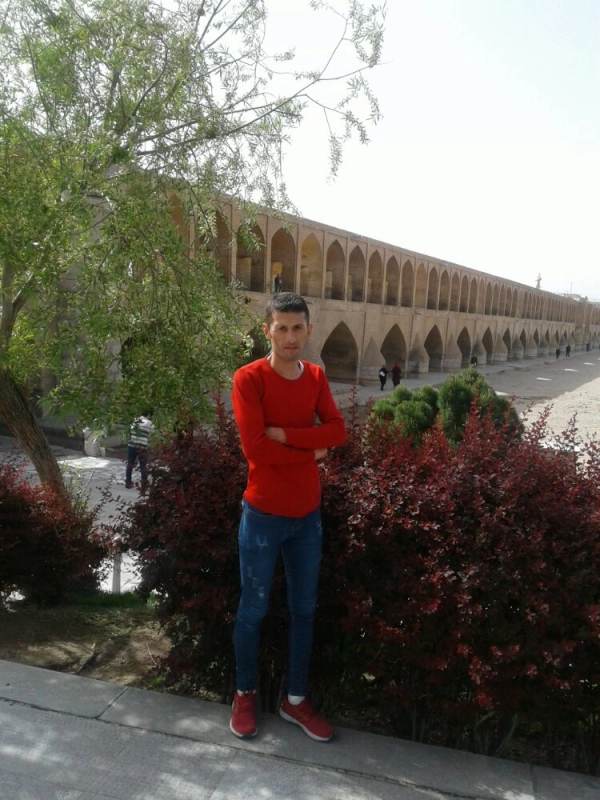 حسین محمودی