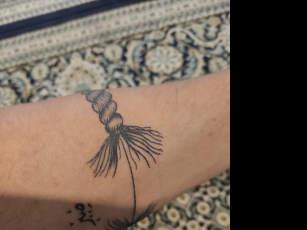 موتور سوار بیرجند