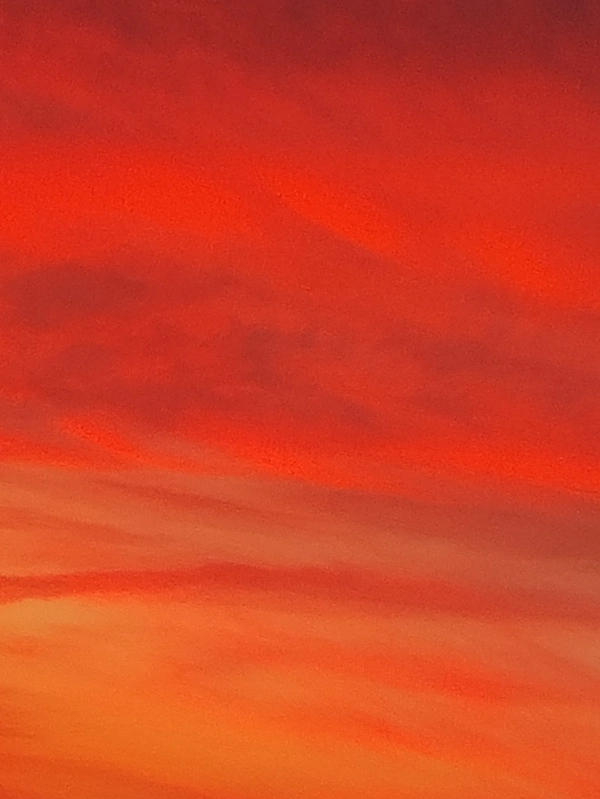 پاتریک