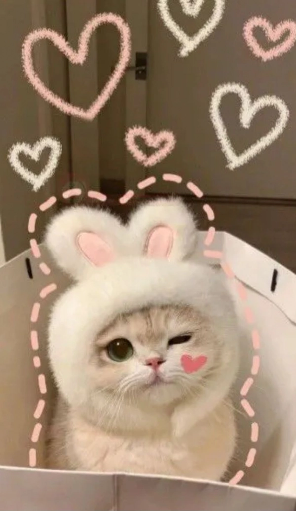 دنیا