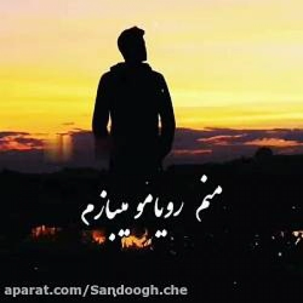 @yp313151