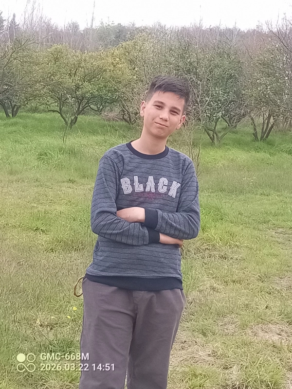 شایان