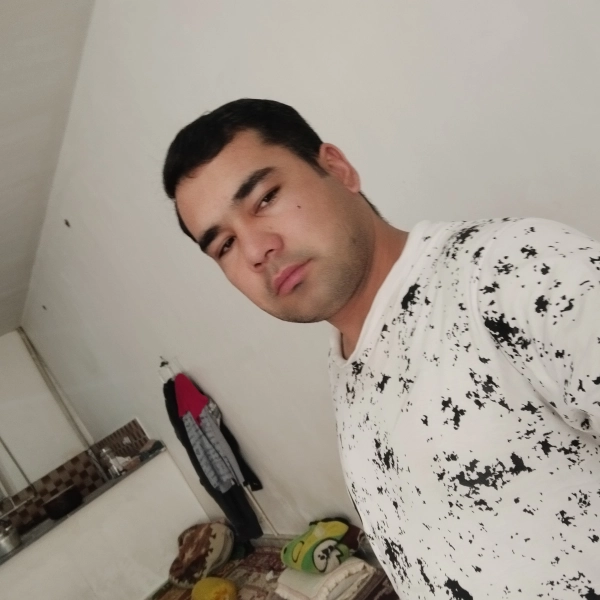 @yp317077