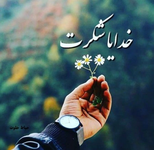 alireza