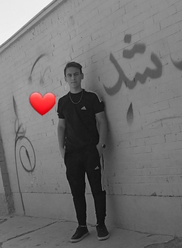 shahin