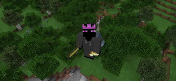 MR. ENDERMAN PVP