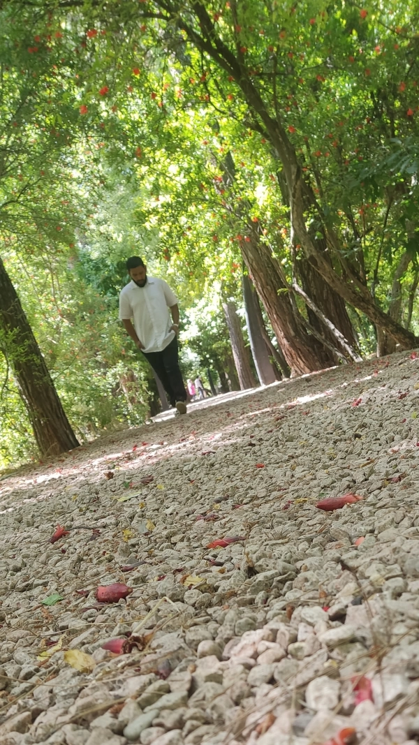 مسیح
