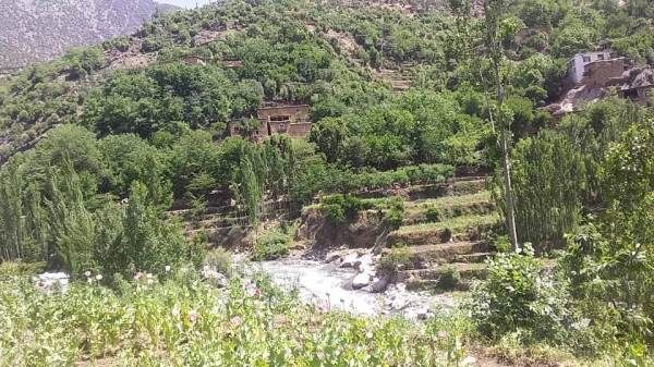 بصیر عزت یار