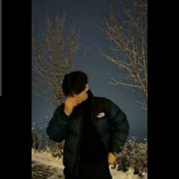 شاهین