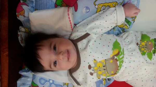 نرگس