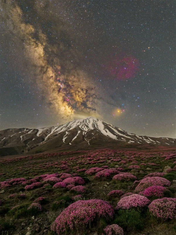 آرین