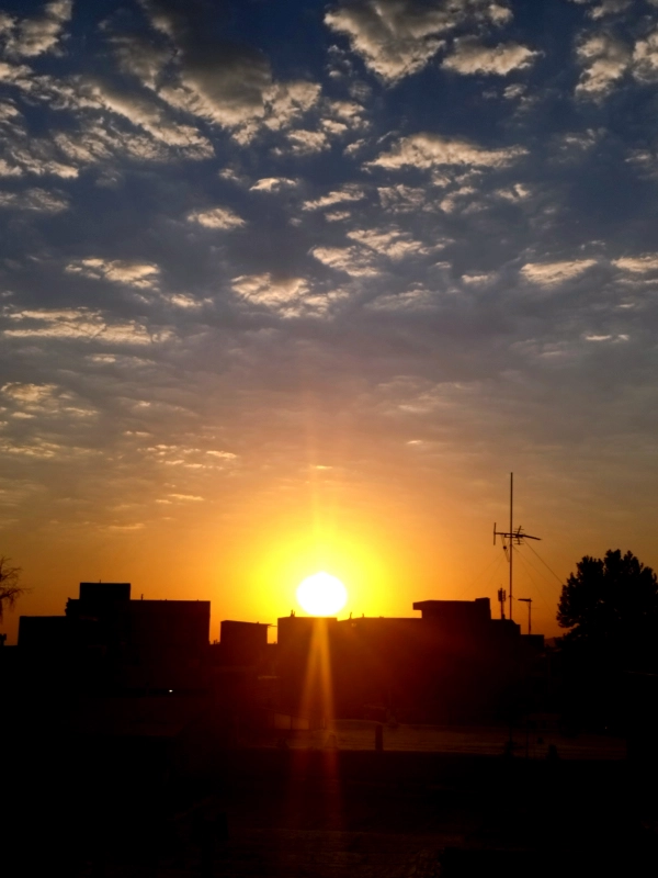علیرضا
