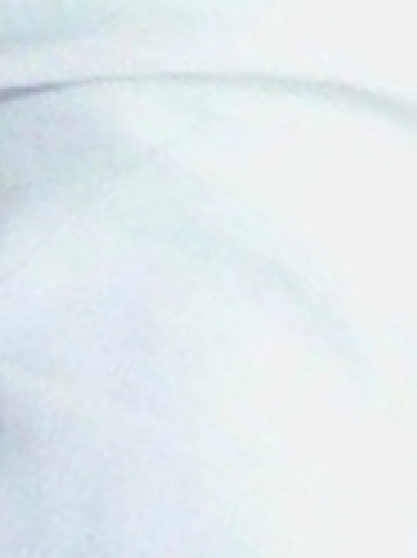 °•پروانه•°