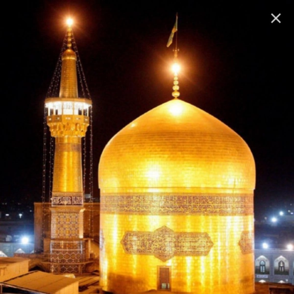 سکوت قلب