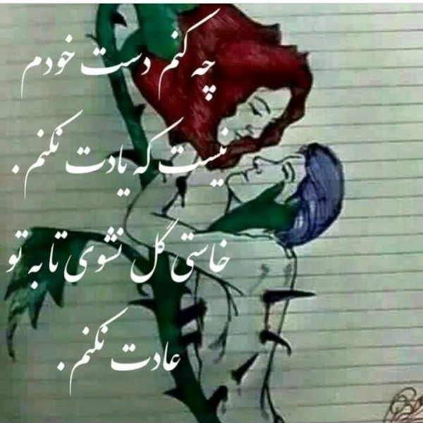 محمد
