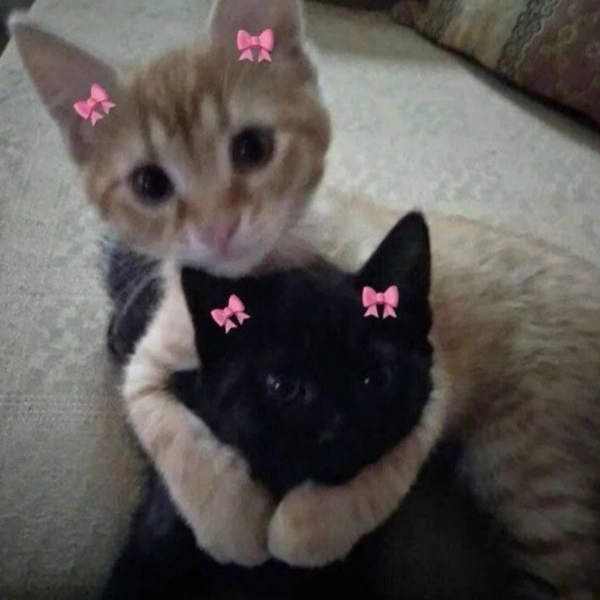 Nima
