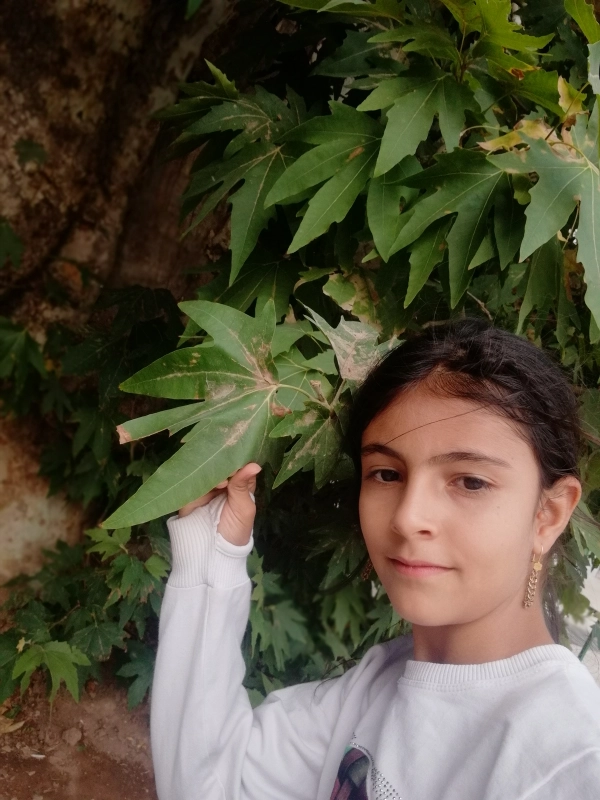 عسل ❤
