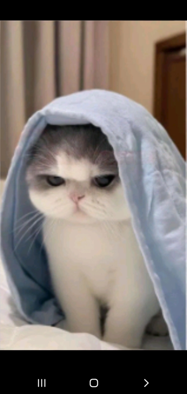 دخترک جذاب