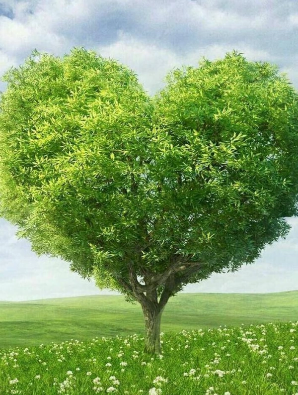 ۰۹۱۶۰۷۱۸۵۶۳