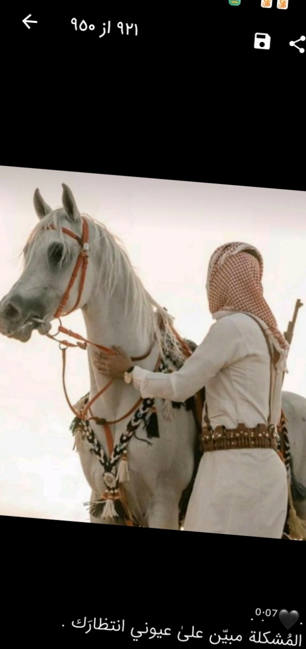 محمد☆الاحوازی