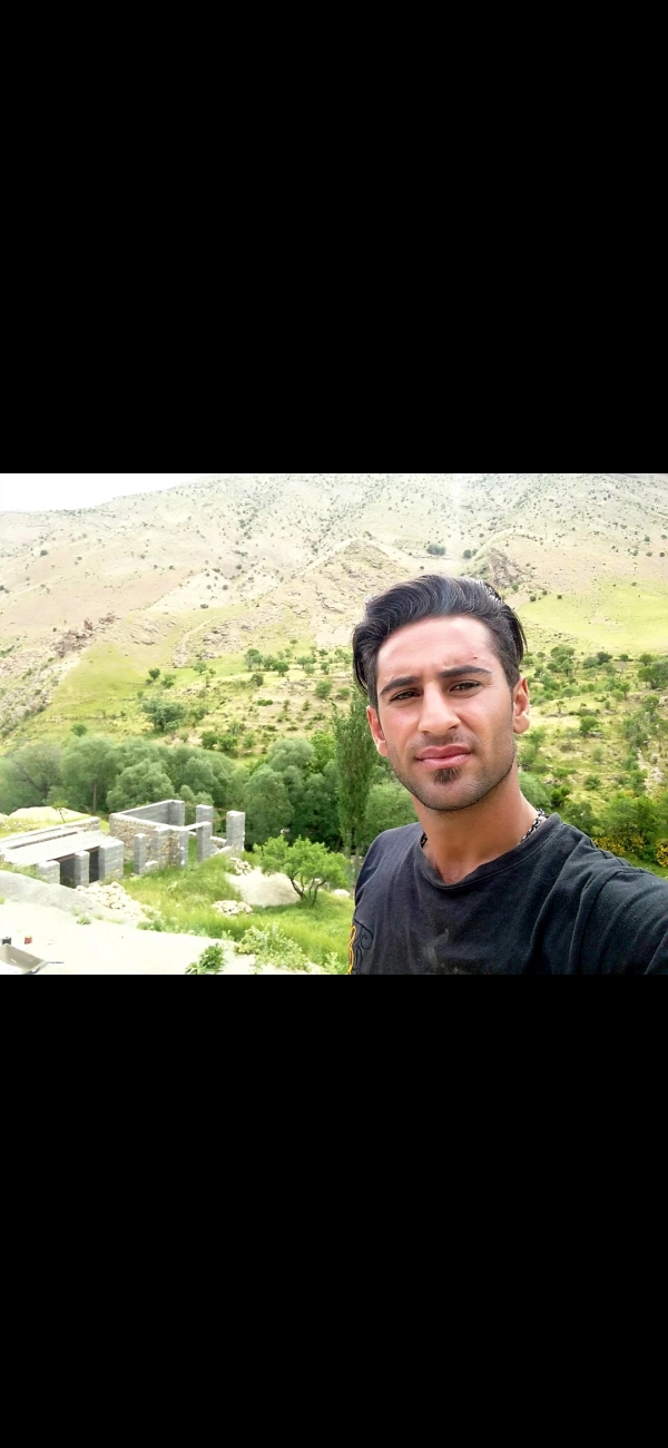 حامد