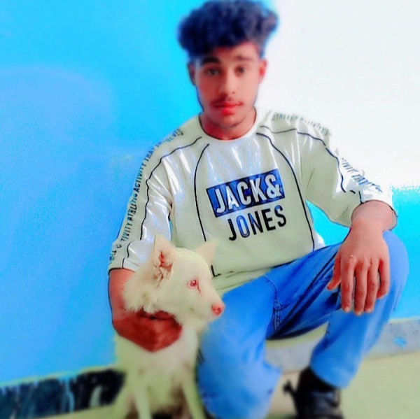محمدرضا