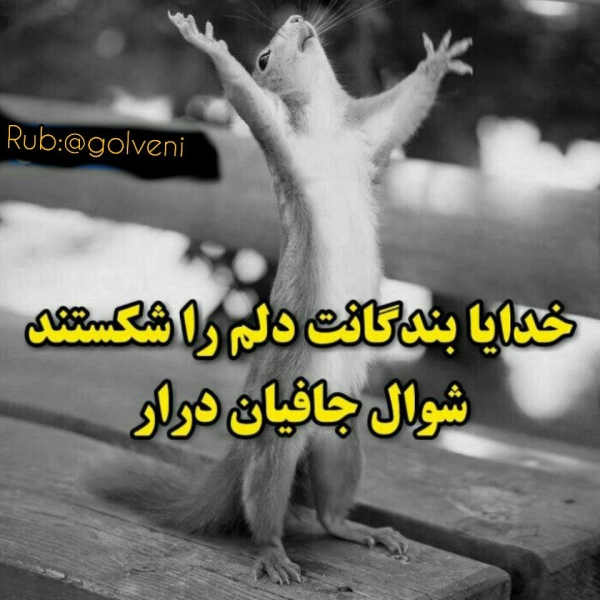 samy6732ghjvccvhcvbbhbbbbb