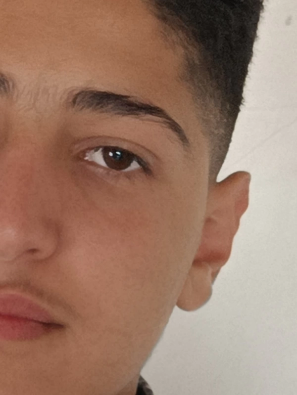 mohsen
