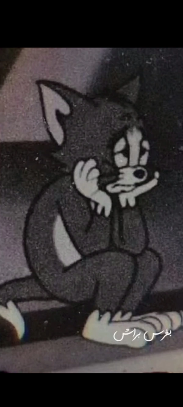 نیکا