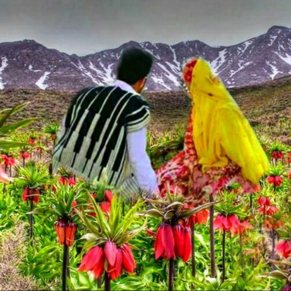 سیاره تنهای عاشق