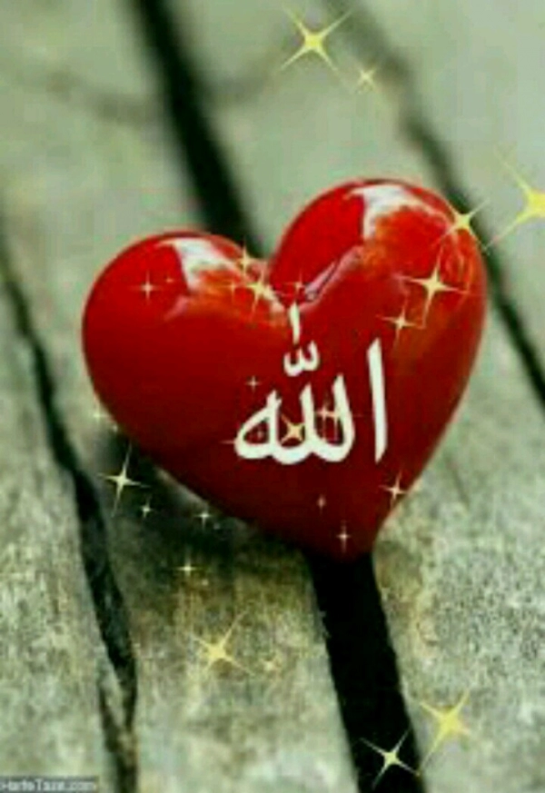 ♡دلداده♡