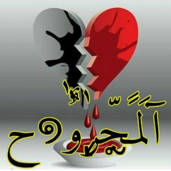 بندر1