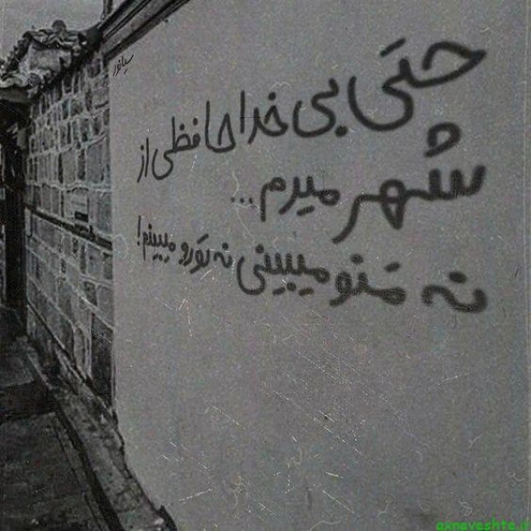 zeinab _.3435