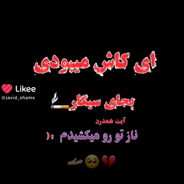 جاوید۱۹