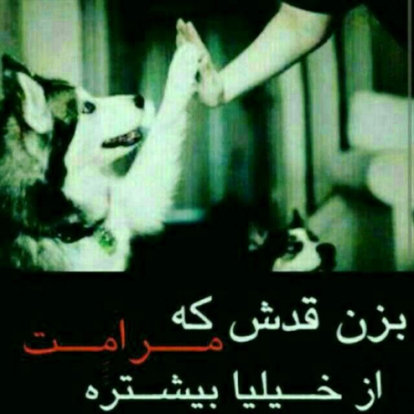 شاه پسرک