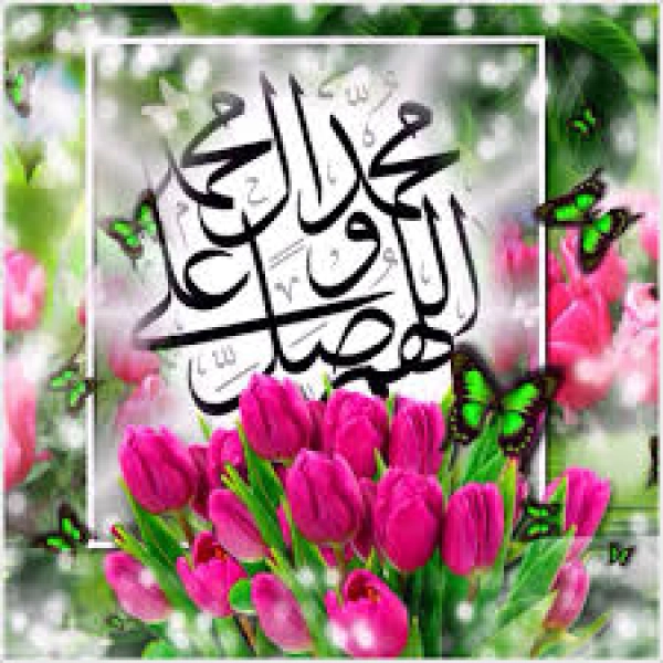گل یاس
