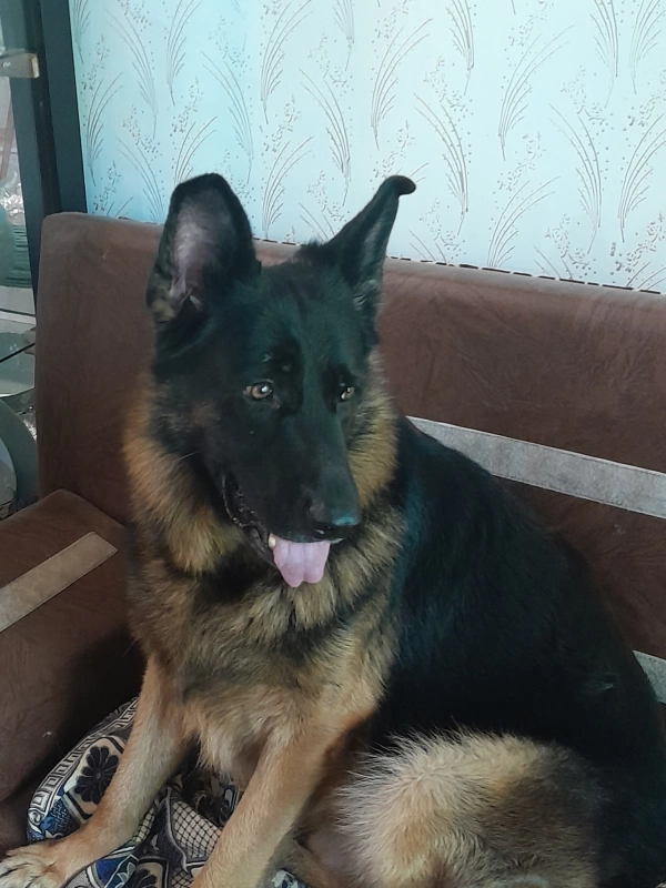 eran