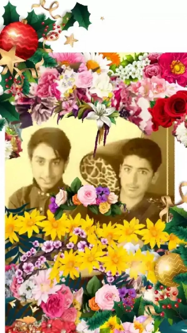 نسیم