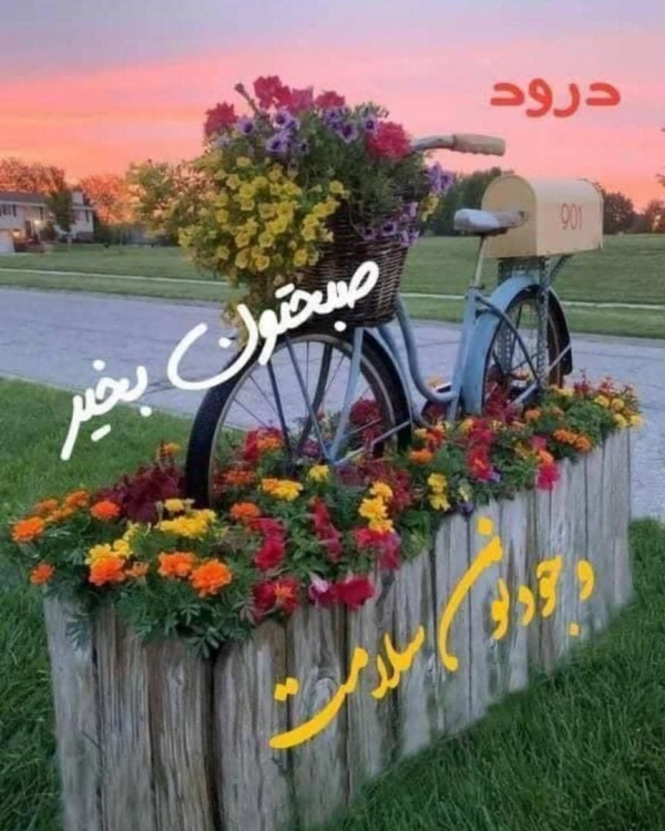 علی