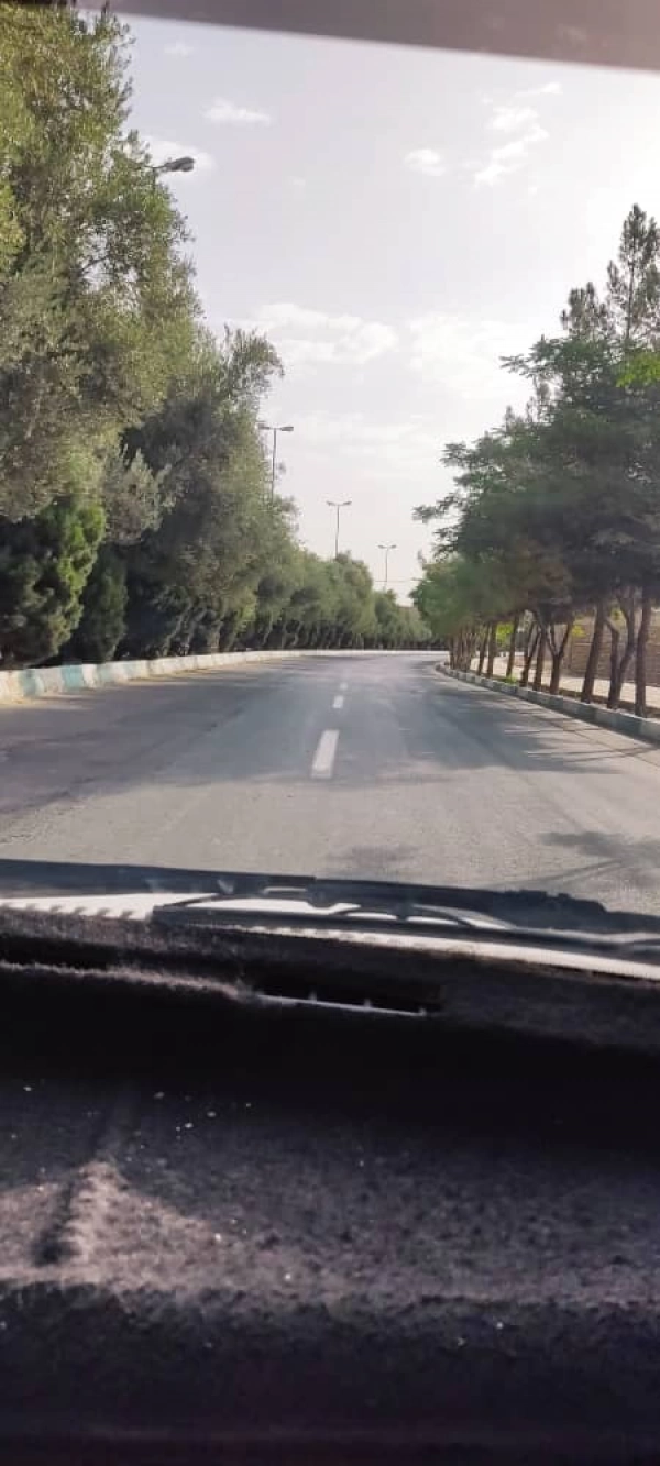 محمد علی