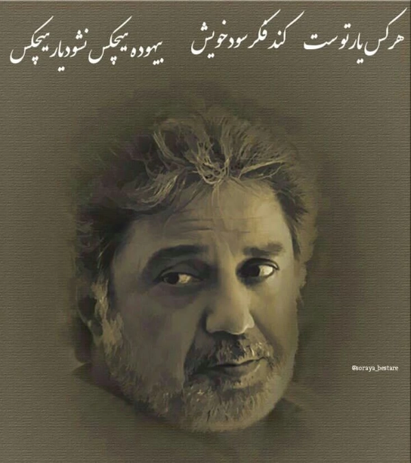 ali hashari