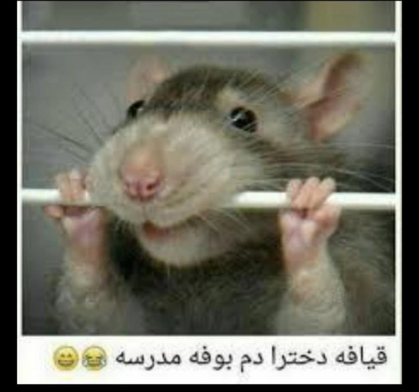 ایران
