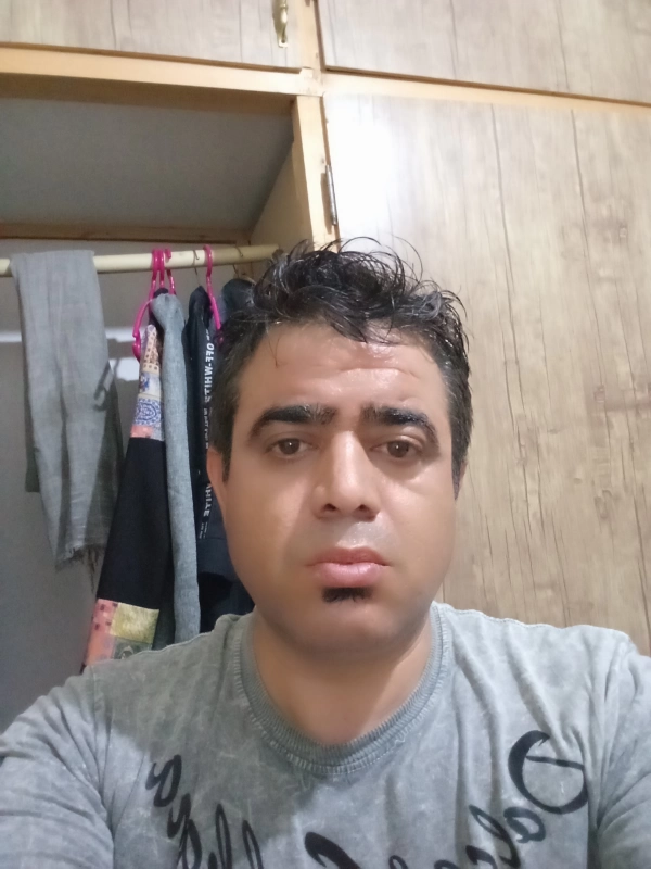 hadi