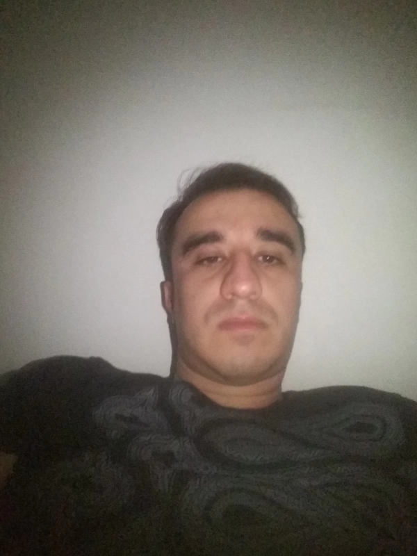 داود