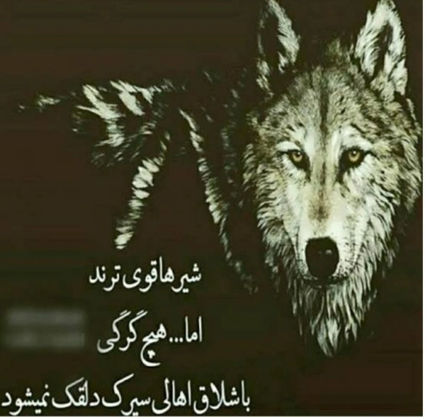 ؟؟؟؟؟؟