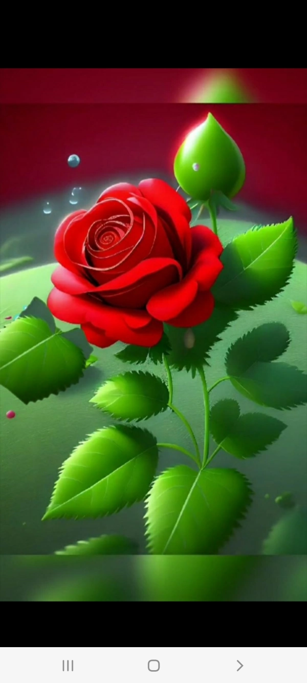 زمین