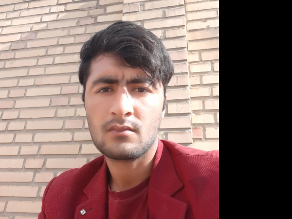شاهین