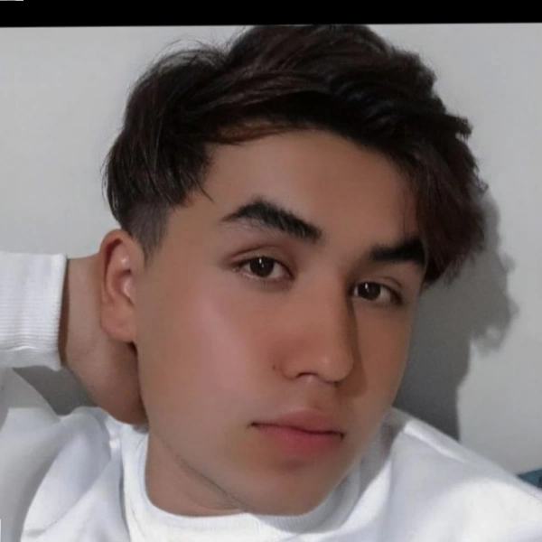 amir