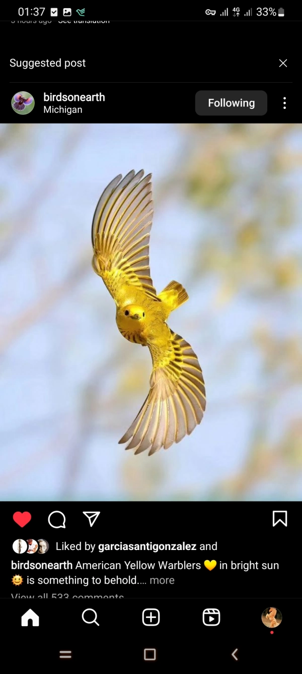 پخور