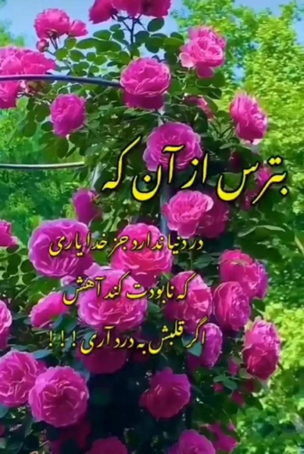 پسرکتنها